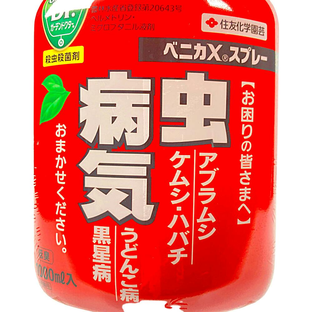 住友化学園芸:ベニカxスプレー 1000ml 4975292602507 園芸 薬品 殺虫殺菌剤 4iSMDhQWsb, 花、ガーデニング -  centralcampo.com.br