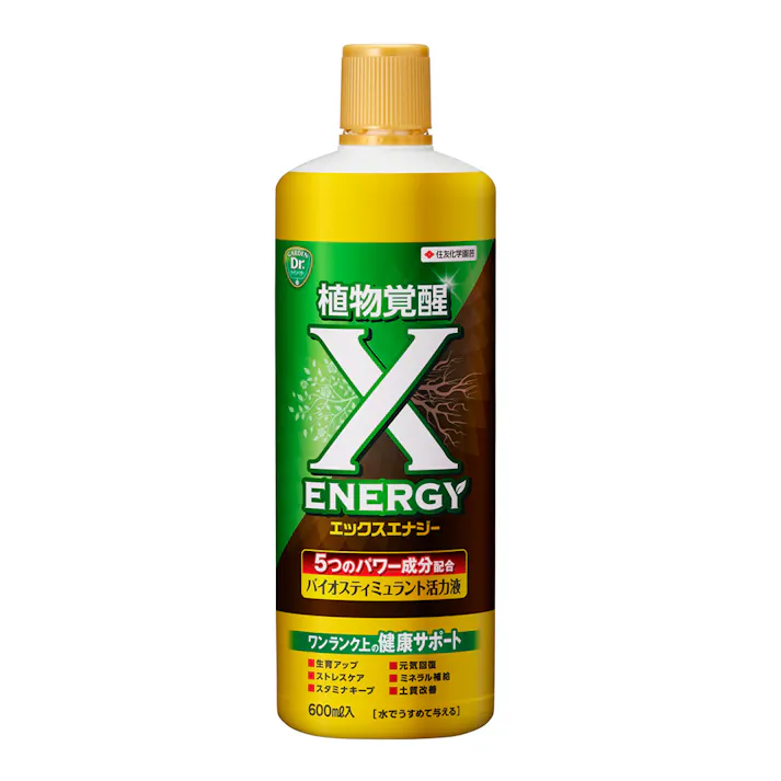 エックスエナジー 600ml