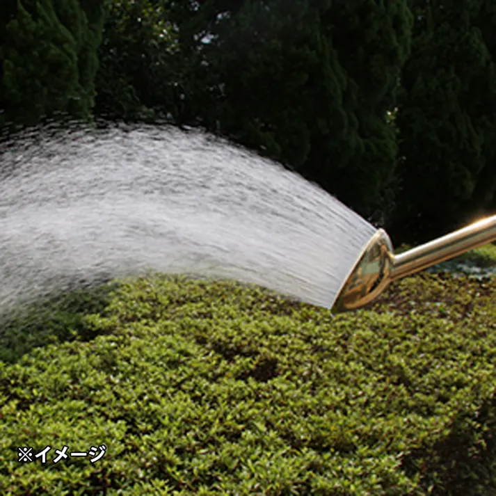 タカギ 金属ジョウロノズルだ円形コック付 G259【別送品】