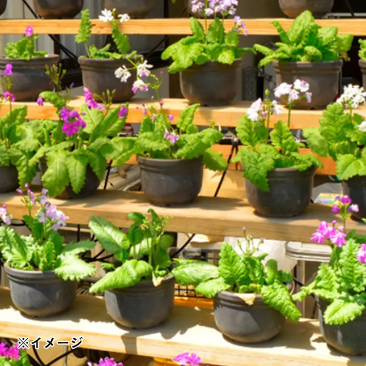 タカギ ポットスプリンクラー 点滴 GKS102