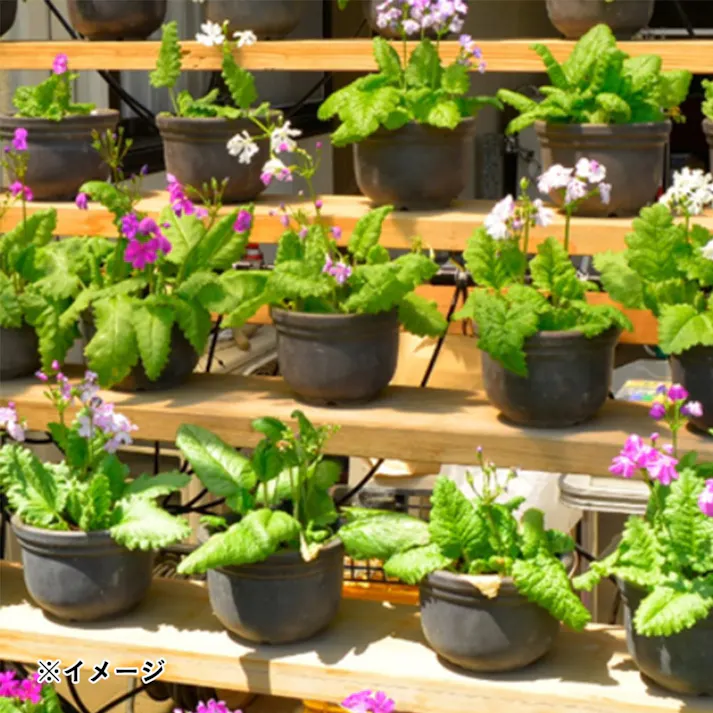 タカギ ポットスプリンクラー 噴水 GKS104