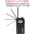 【CAINZ-DASH】ＪＶＣケンウッド 特定小電力トランシーバー（交互通話） UBZ-LS20RD【別送品】