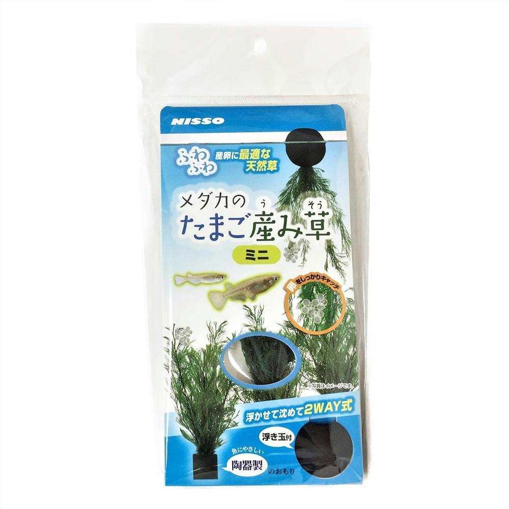 メダカのたまご産み草ミニ | 水中生物用品・水槽用品 通販