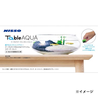 【オンライン限定】テーブルアクア フラットポットSセット