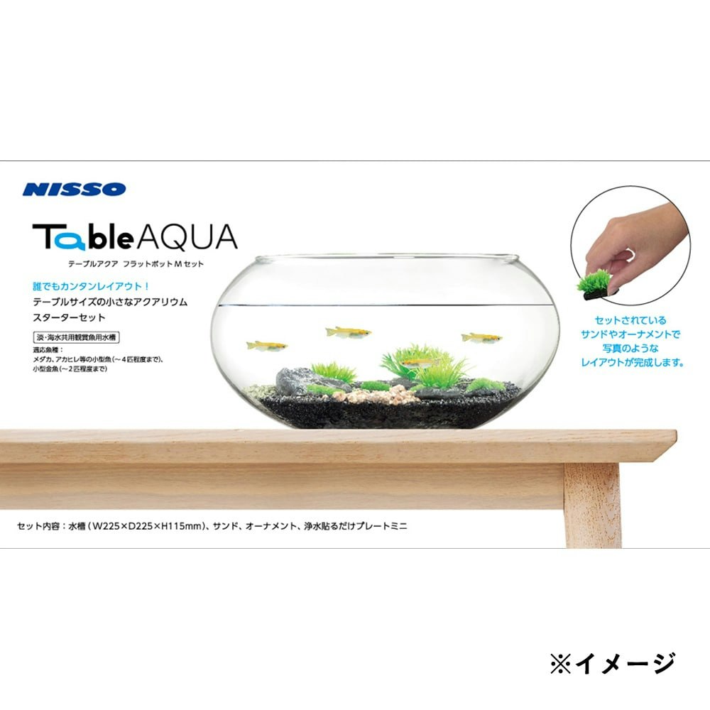 市場 ニッソー テーブルアクアプランツセット4