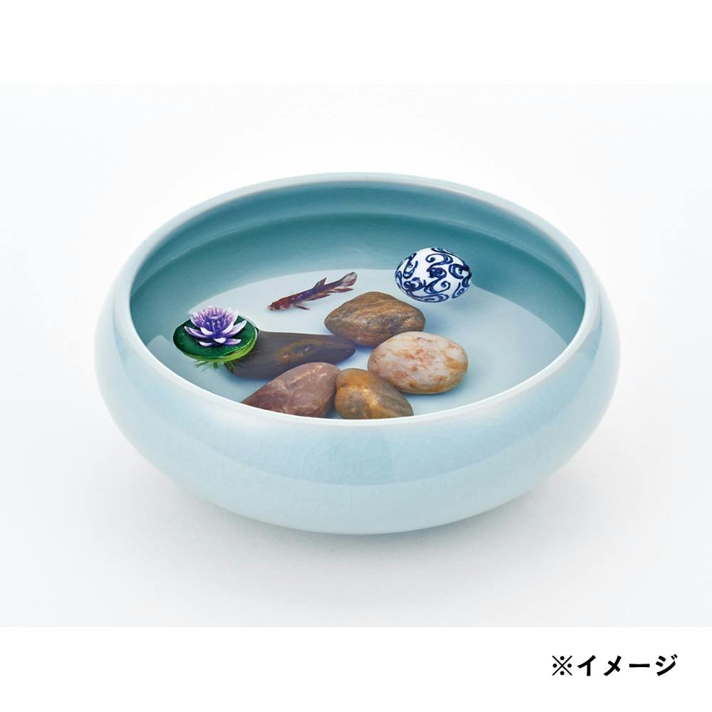 オンライン限定】テーブルアクア 和 碧器(販売終了) | 水中生物 オンライン限定】テーブルアクア 和 碧器(販売終了) | 水中生物