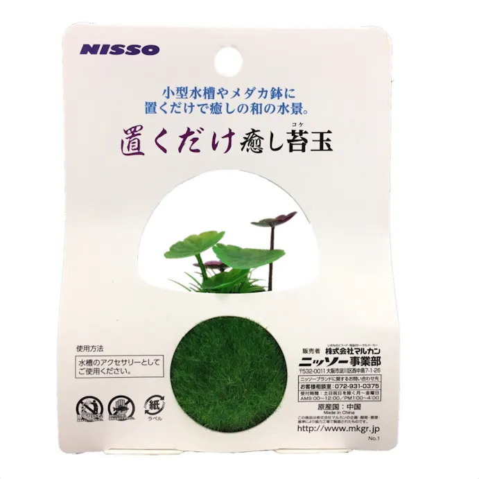 テーブルアクア 置くだけ癒し苔玉 参 サン ホームセンター通販 カインズ