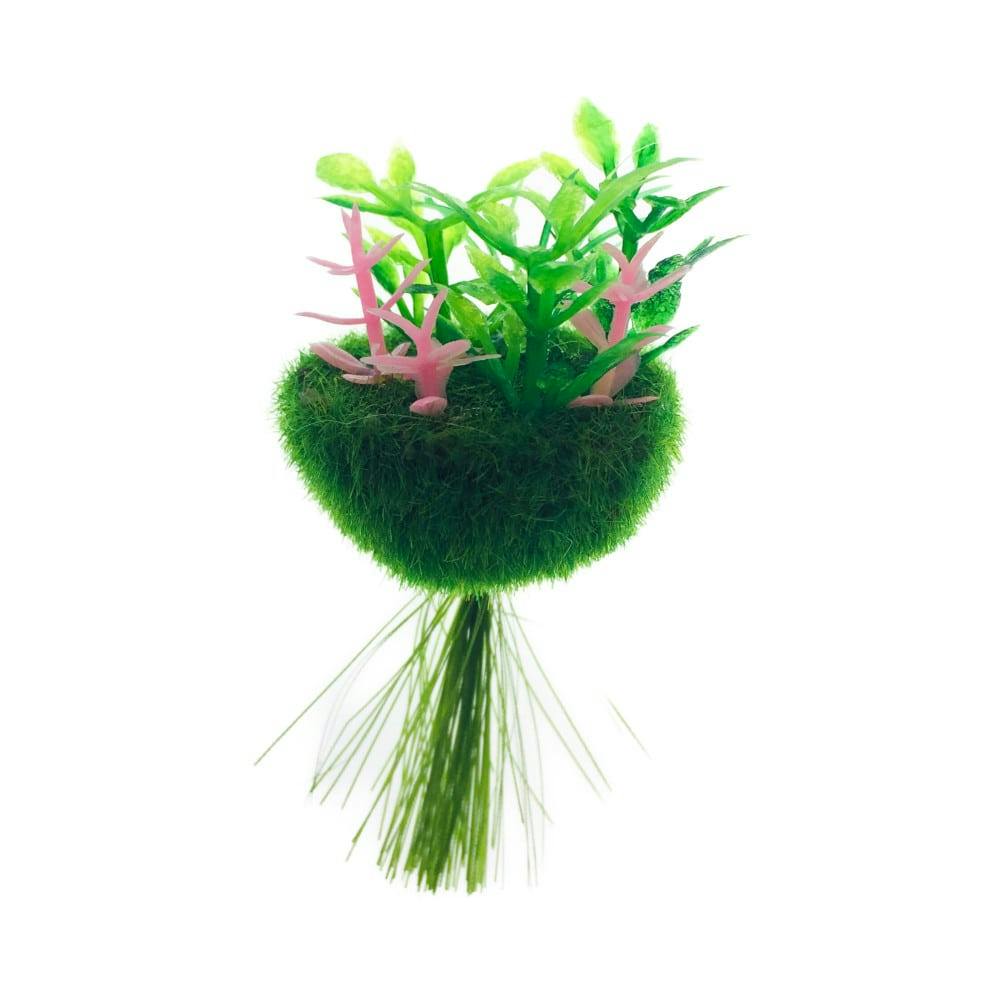 テーブルアクア 浮かべる癒し苔玉 貳(ニ) | 水中生物用品・水槽