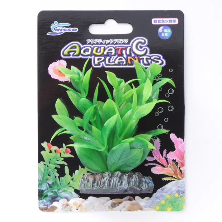 観賞魚水槽用 アクアティックブランツ 淡・海水共用 S-6