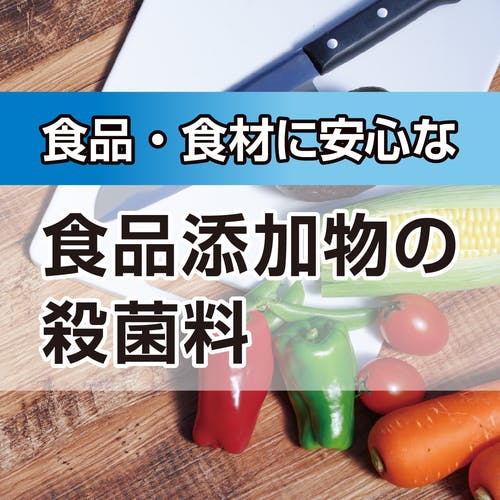 CAINZ-DASH】ニイタカ 【※軽税】 殺菌・漂白剤 サニクロール12