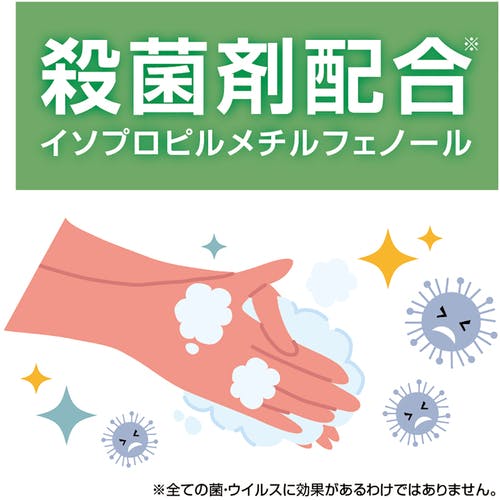 CAINZ-DASH】ニイタカ 薬用ハンドソープ 5Kg 250140【別送品