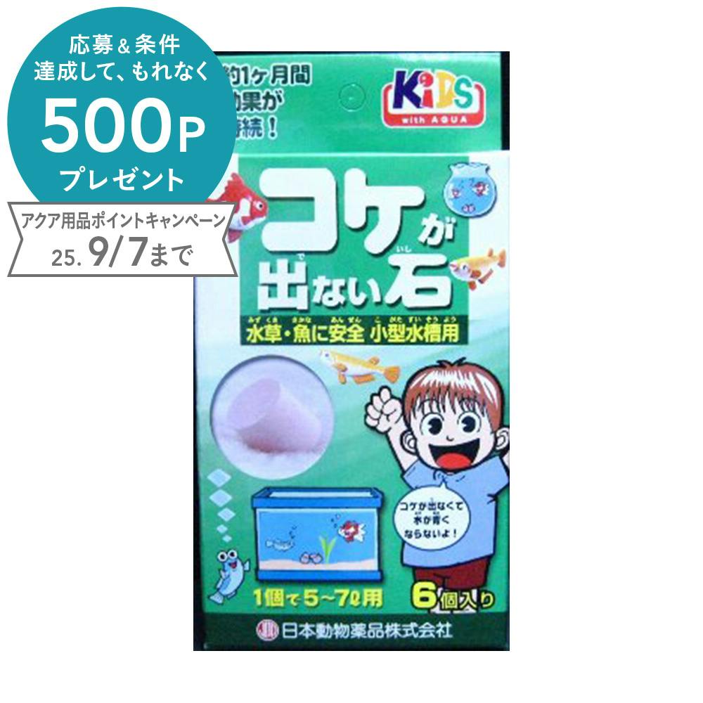 コケが出ない石 6個入り 水質調整用品 コケが出ない石 6個入り 水質調整用品