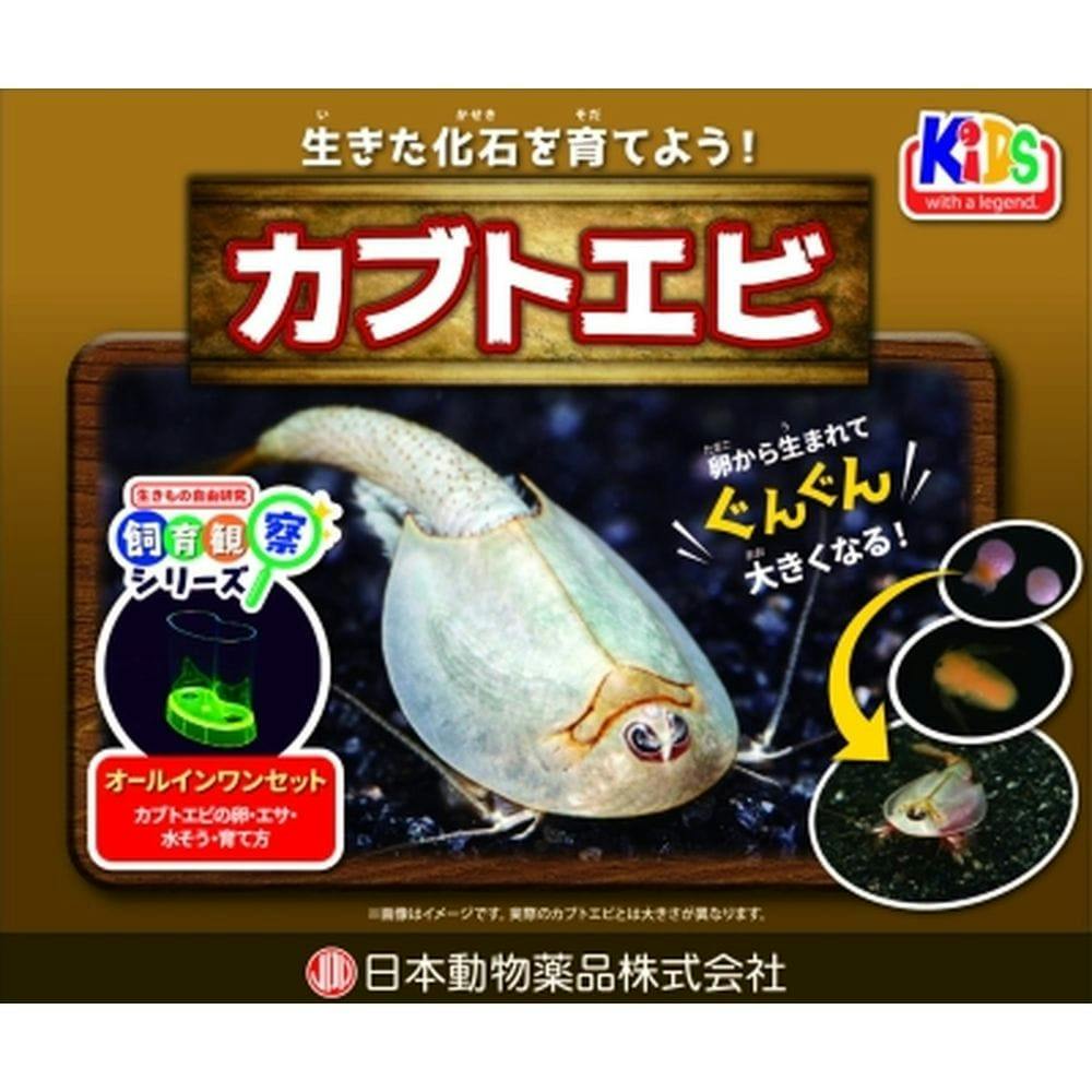 飼育観察セット カブトエビ(販売終了) | 昆虫用品・昆虫グッズ 通販 | ホームセンターのカインズ