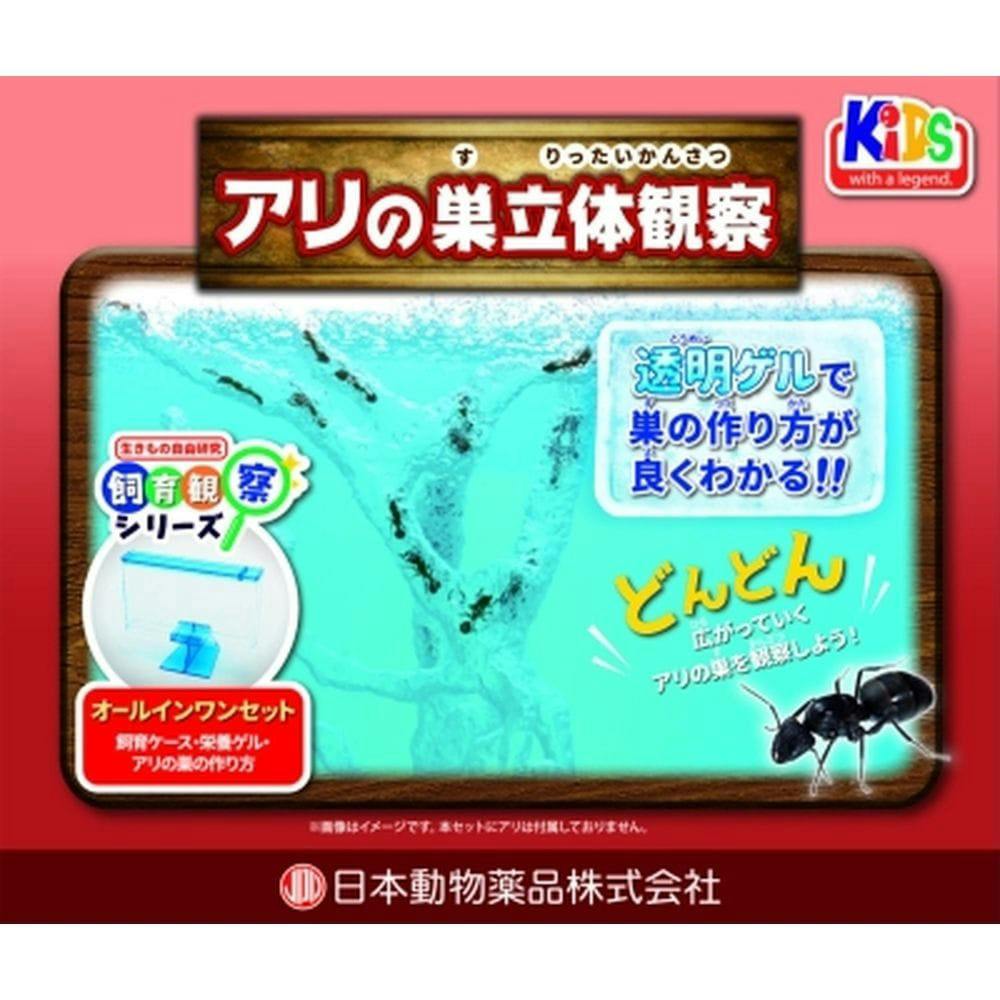 ニチドウ アリの巣 立体観察セット | 昆虫用品・昆虫グッズ 通販