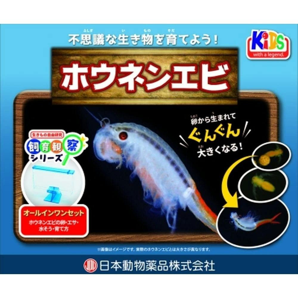 飼育観察セット ホウネンエビ(販売終了) | 昆虫用品・昆虫グッズ 通販 | ホームセンターのカインズ