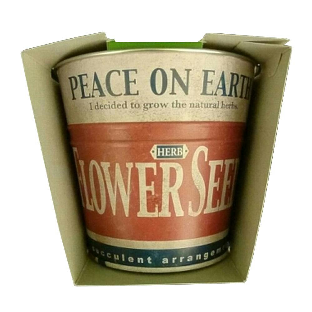 TINPLATE POT 赤ピンク