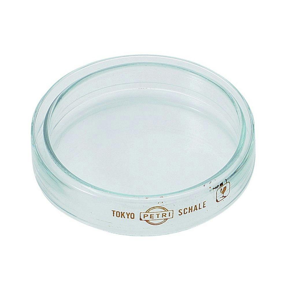 BeHAUS 硝子シャーレ φ75 GS-75