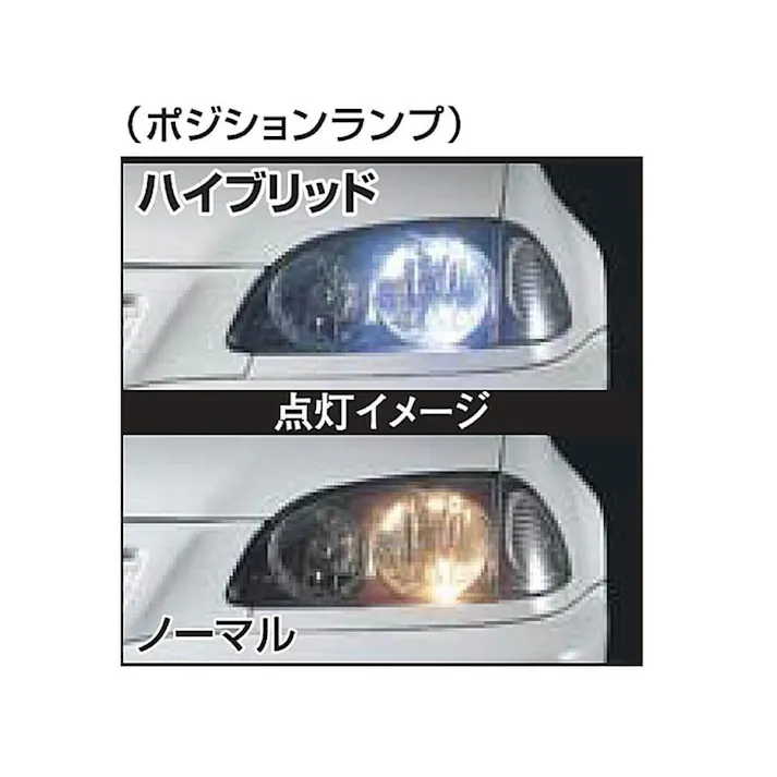 POLARG カラーバルブ ホワイト M-4 T10 12V 5W