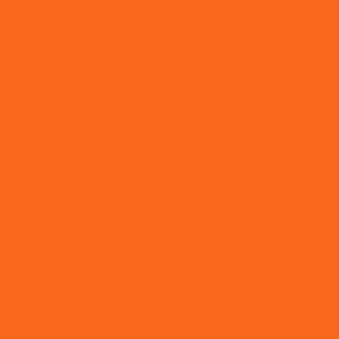 ニッペホームプロダクツ 多用途塗料 フレッシュ 水性ワイド キャロットオレンジ 0.7L