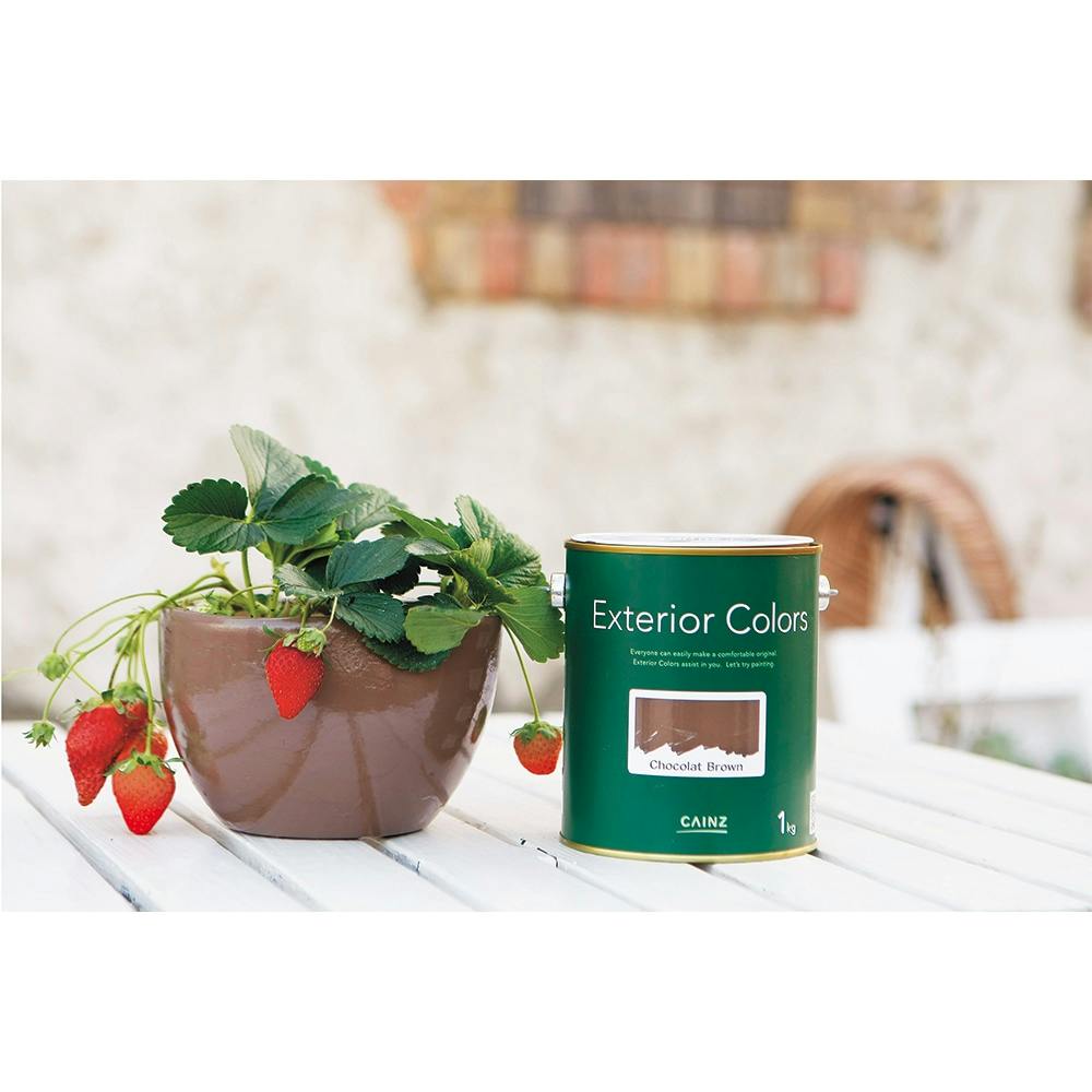 カインズ エクステリアカラーズ ショコラブラウン 1kg | ペンキ（塗料