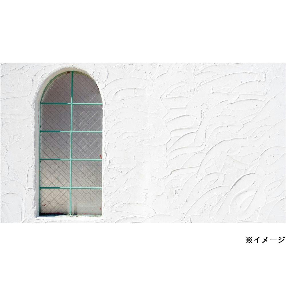 壁用仕上 補修材 STYLE MORUMORU モルモル ホワイト 5Kg 手で塗る 屋