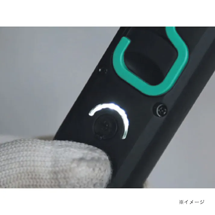 イチネンアクセス BERUF 充電式ワークライト BWL-201R 87229