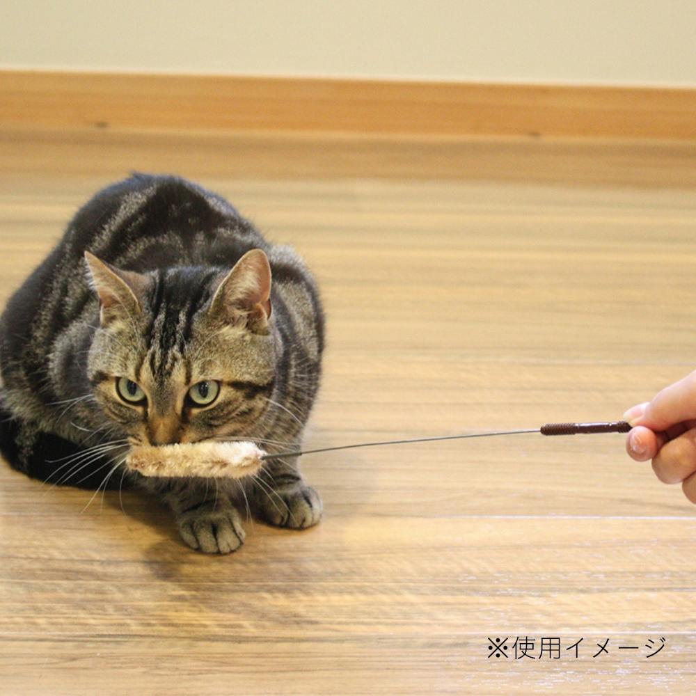 カインズ限定 じゃれ猫 お遊び草 3本入り | ペット用品（猫