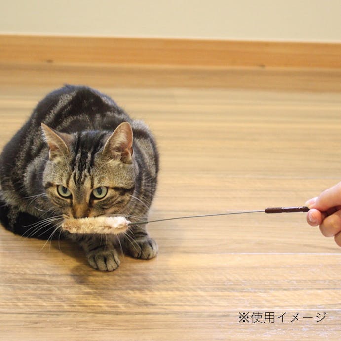 カインズ限定 じゃれ猫 お遊び草 3本入り