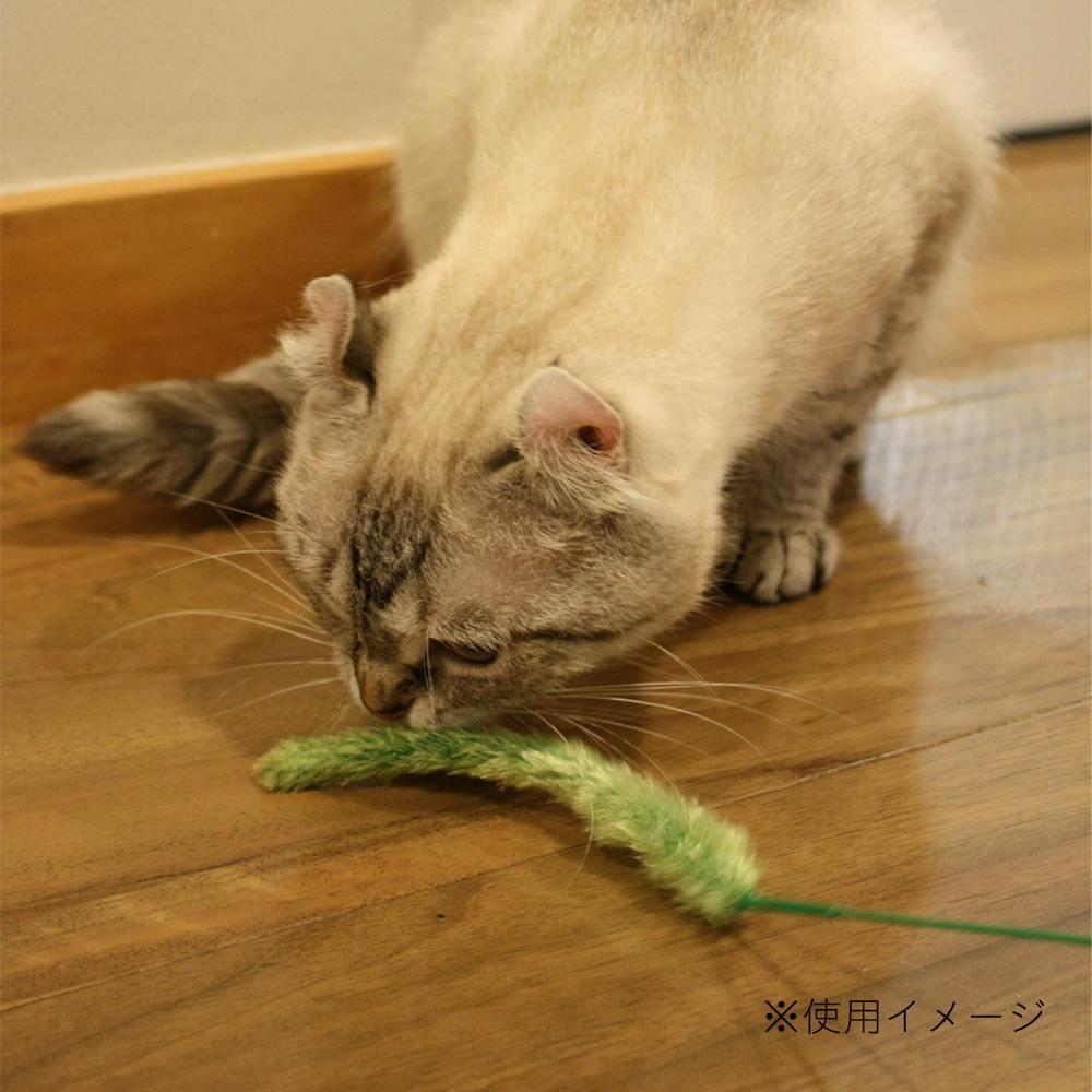 カインズ限定 じゃれ猫 お遊び草 3本入り | ペット用品（猫