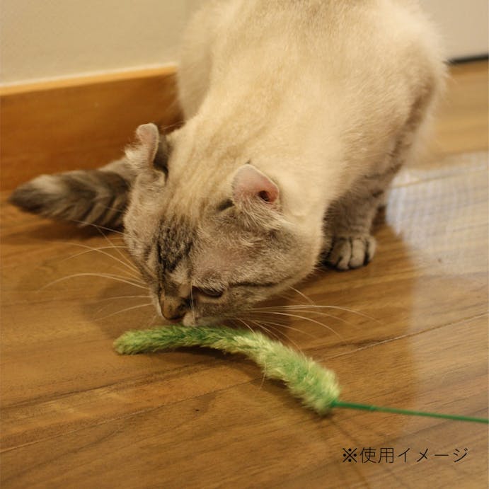 カインズ限定 じゃれ猫 お遊び草 3本入り