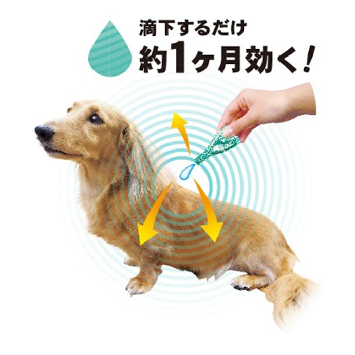 ペッツテクトプラス フォースガード 小型犬 5本