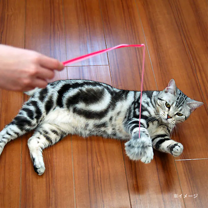 じゃれ猫ファーファー