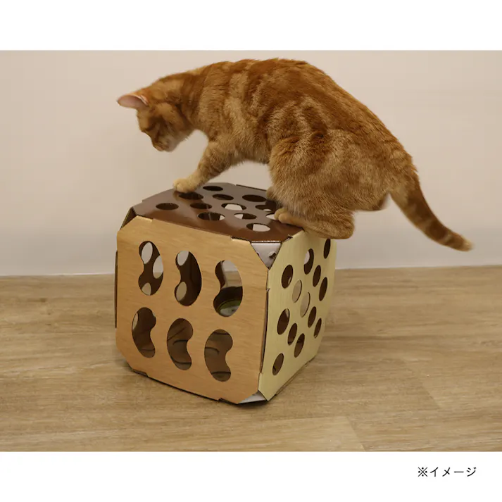 ねこちゃんテンション爆アゲBOX