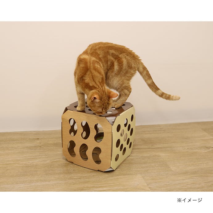 ねこちゃんテンション爆アゲBOX