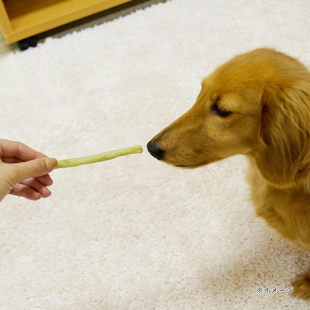 メーカー合同キャンペーン中】激かみ歯みがきガム スティック小型犬用