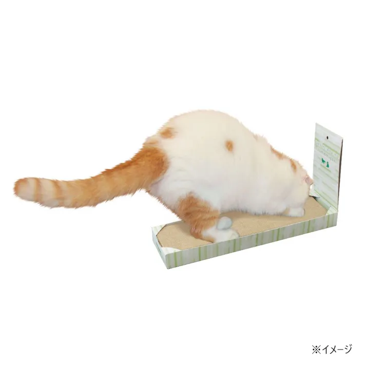 スッキリ 麻のつめみがき またたび付き