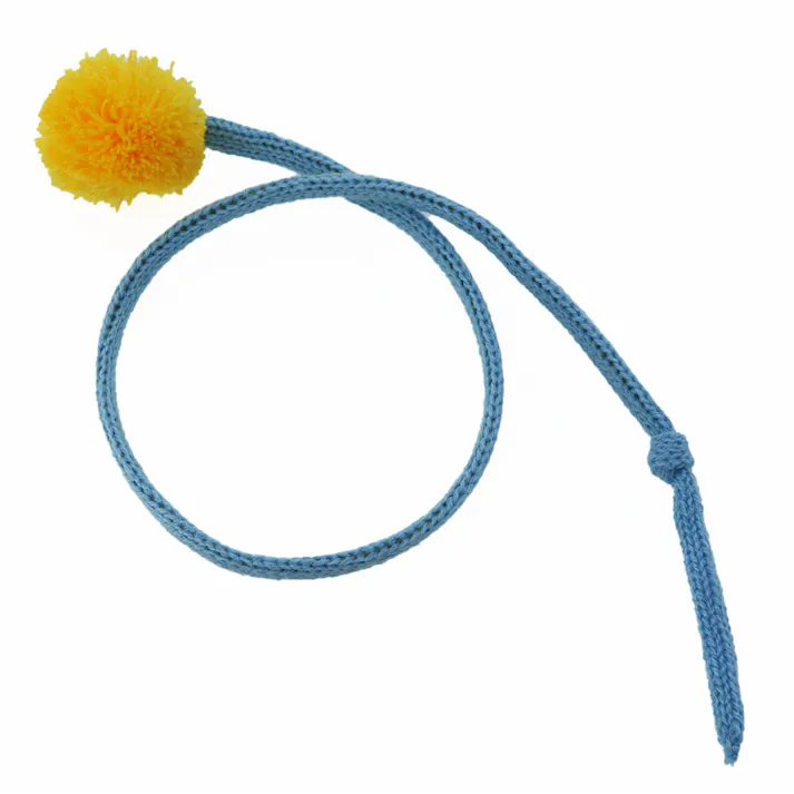 じゃね猫びよよんバンド