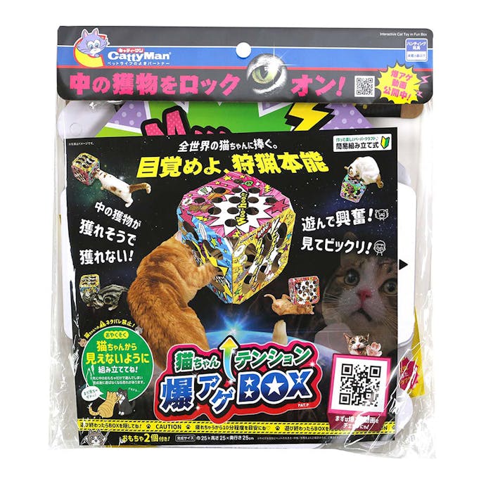 猫ちゃんテンション爆アゲBOX