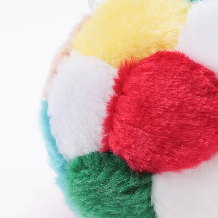 わんぱくフレンド ソフトボール