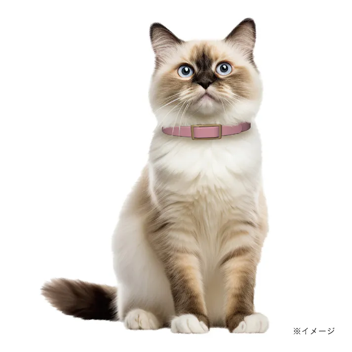 薬用 ノミ・マダニ取り首輪+蚊よけ 猫用