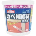 【CAINZ-DASH】ヘンケルジャパン カベ補修材　室内用　５００ｇ DHI-500【別送品】