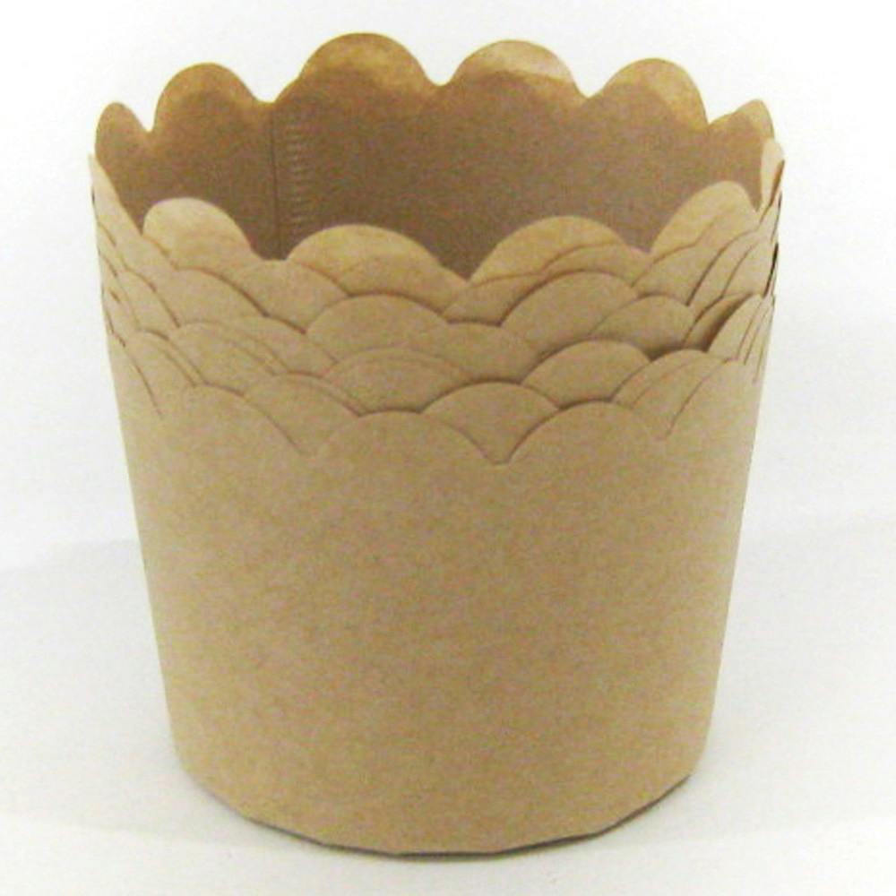  }tBP[LČ^ M D-5243 ٗpi