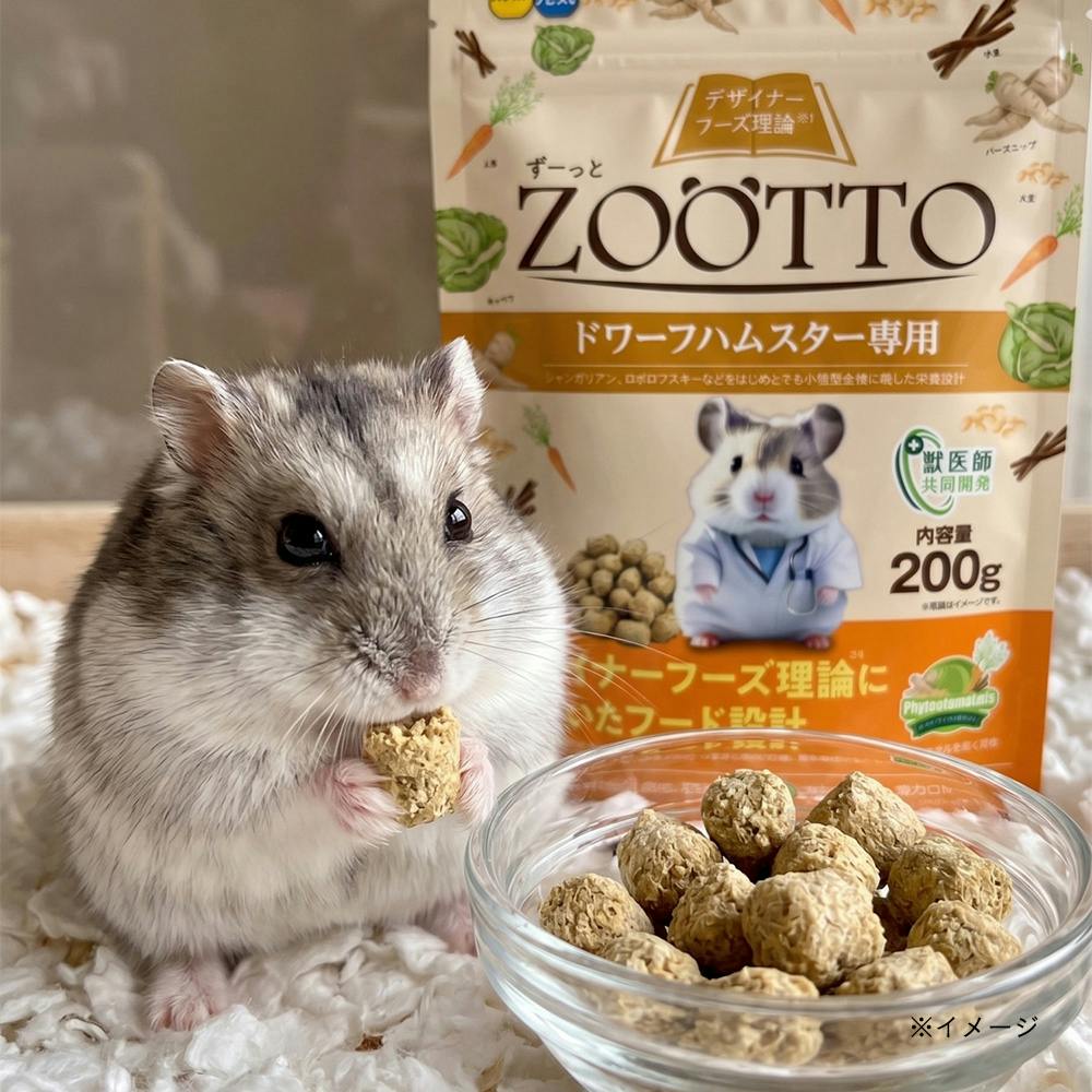 ZOOTTO ゴールデンハムスター専用 | ペット用品（小動物・鳥・亀