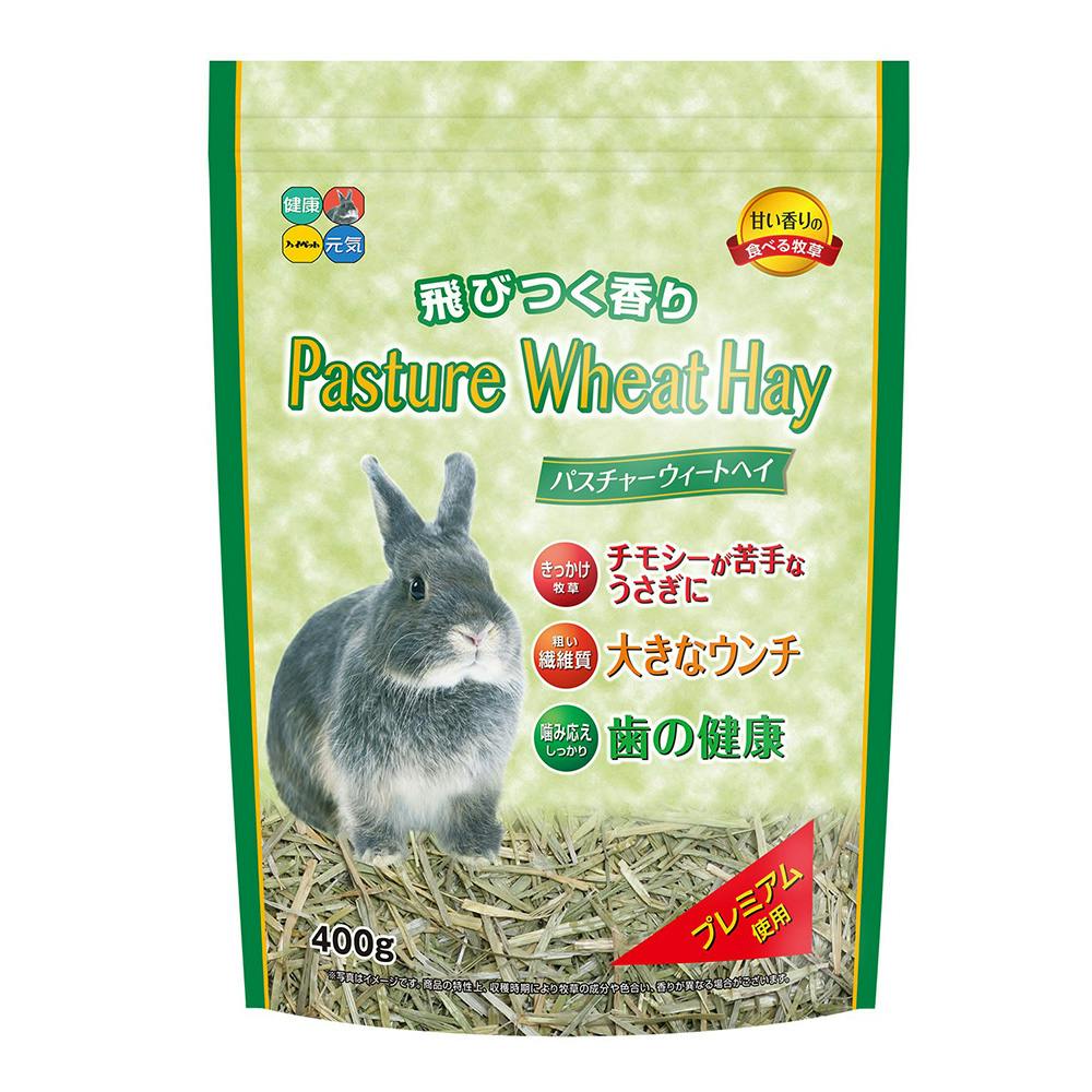 パスチャーチモシーソフト 400g | ペット用品（小動物・鳥・亀・爬虫類