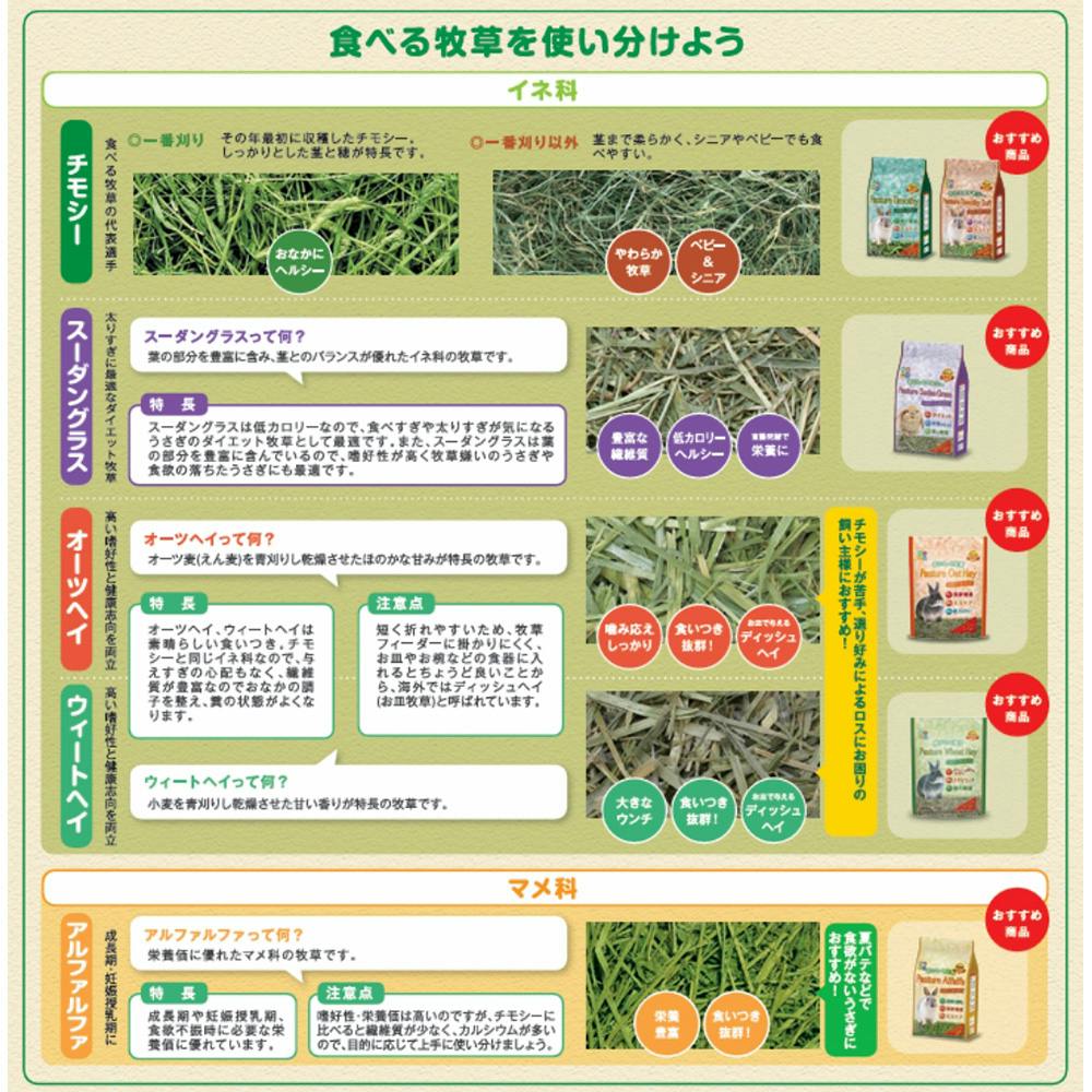 ハイペット パスチャーウィートヘイ 400g | ペット用品（小動物・鳥