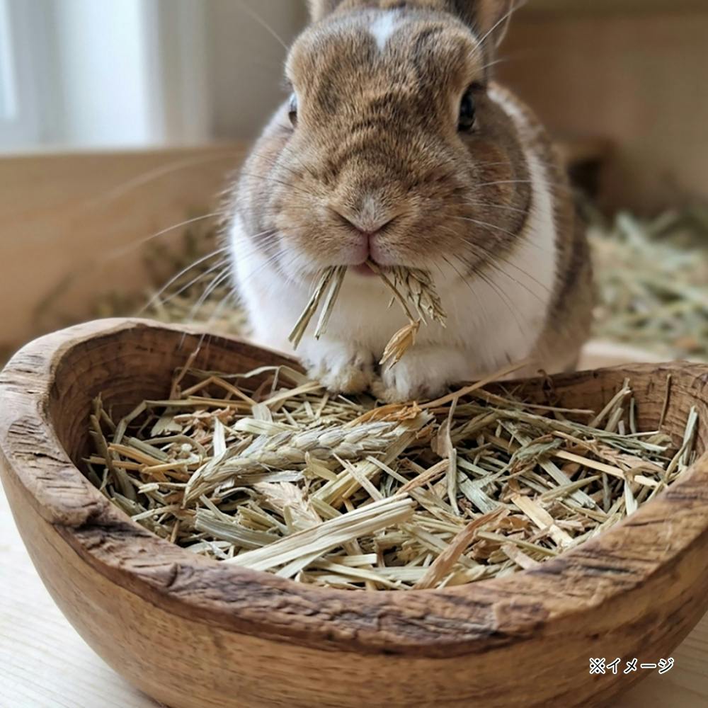 ハイペット パスチャーウィートヘイ 400g | ペット用品（小動物・鳥