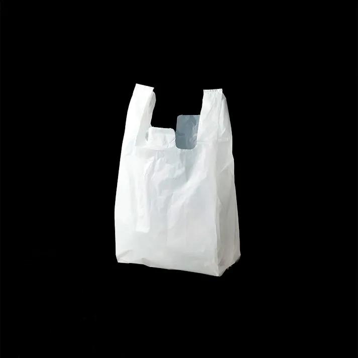 ニューイージーバッグ L 100枚入