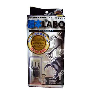 標本LABO