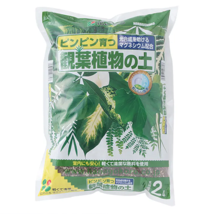 花ごころ 観葉植物の土 2L