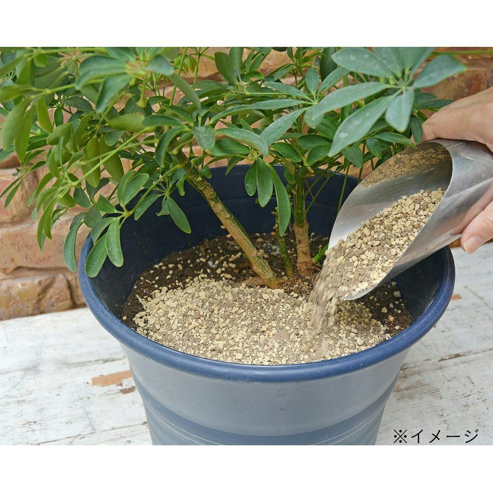 花ごころ たすだけ観葉植物の土 3l ホームセンター通販 カインズ